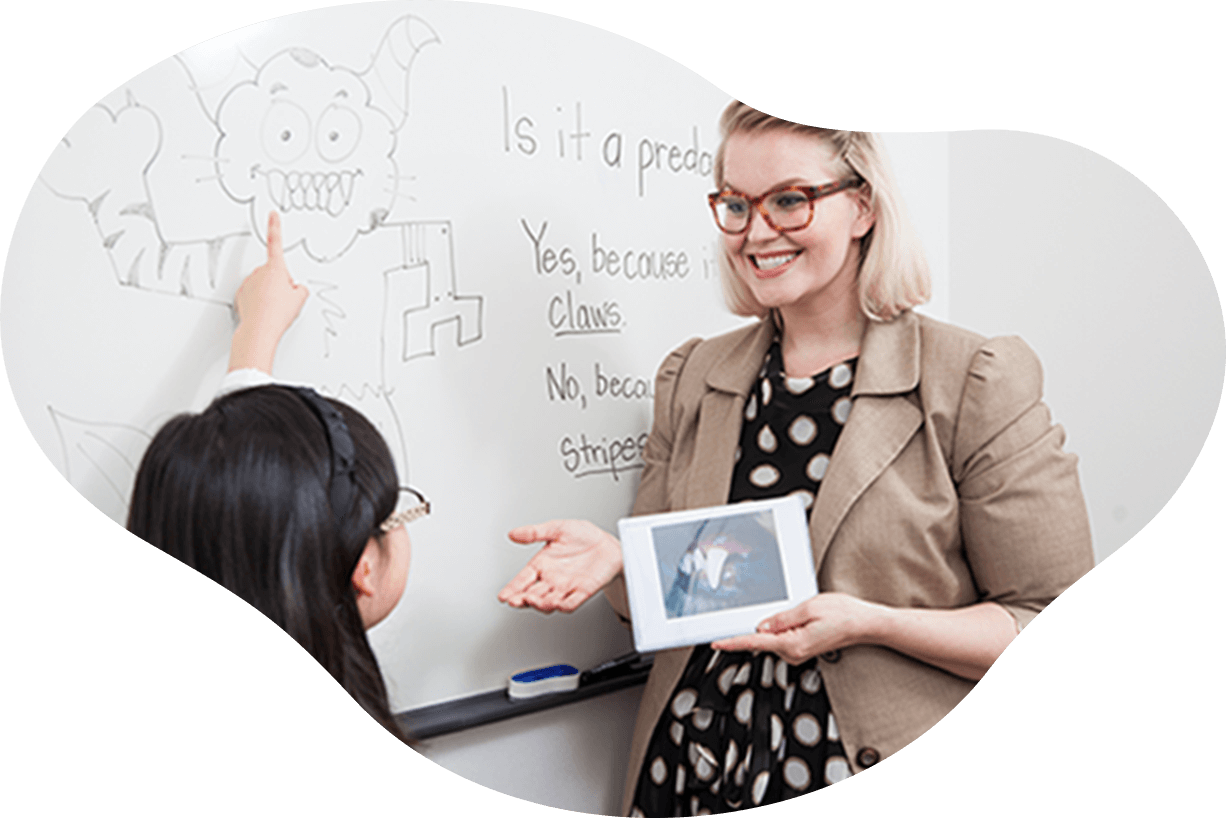 アミティー画像