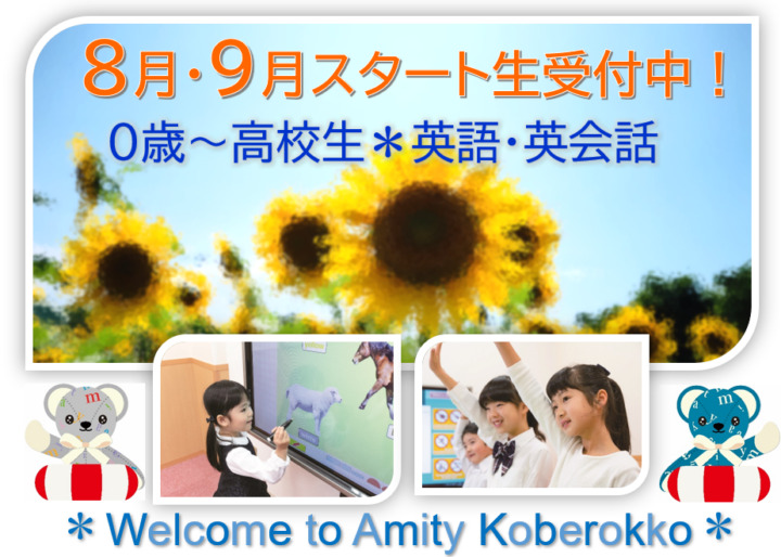 幼児教室ひまわり Dr.5 基本編 特別編（テキスト付き）
